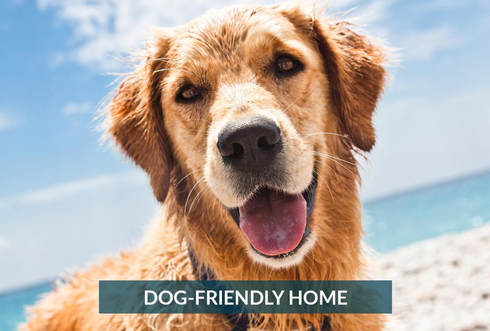 4011 The Dogs House 2 Min Walk To Beach كيتي هوك المظهر الخارجي الصورة